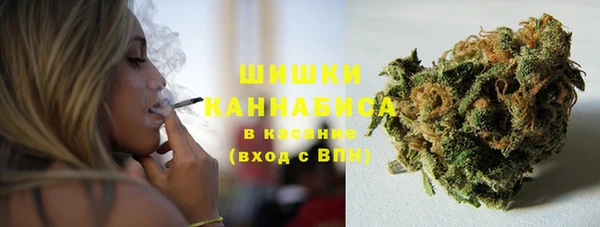 гашик Новодвинск