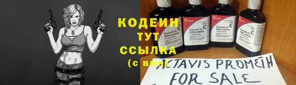 гашик Новодвинск
