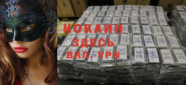 гашик Новодвинск