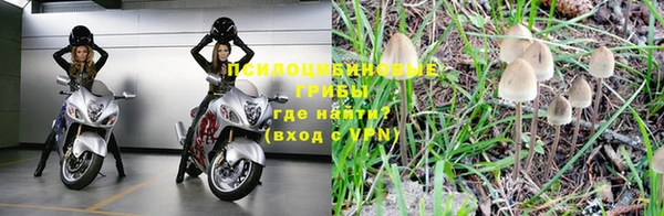 скорость Новозыбков