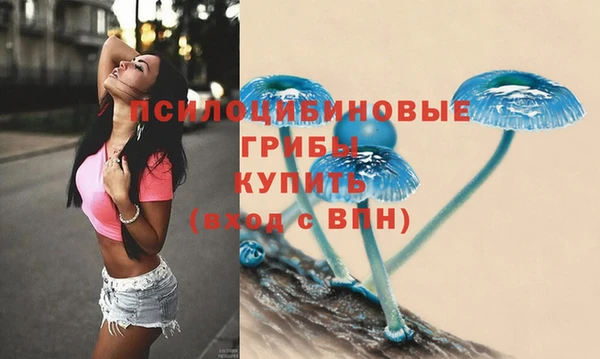 стаф Абдулино
