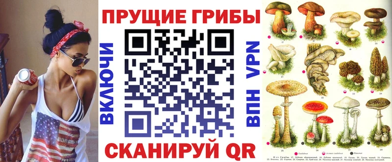 Псилоцибиновые грибы мицелий  где купить наркоту  кракен зеркало  Суздаль 